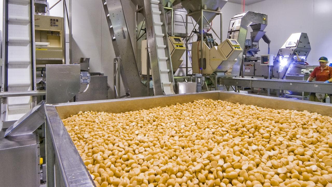 State-of-the-art automated macadamia cracking and separation equipment