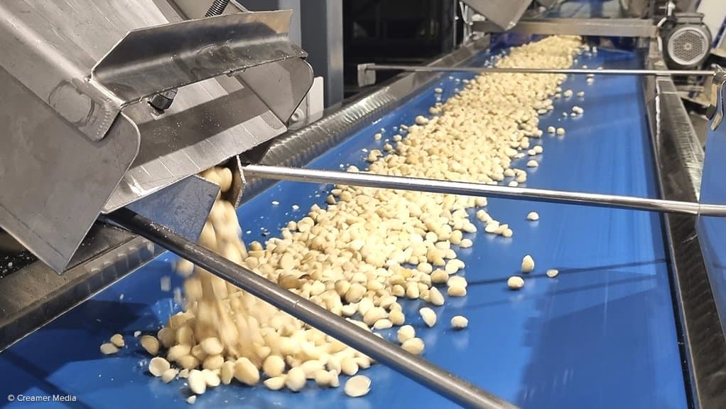 Reception and pre-processing quality checks at Queensland Nuts facility