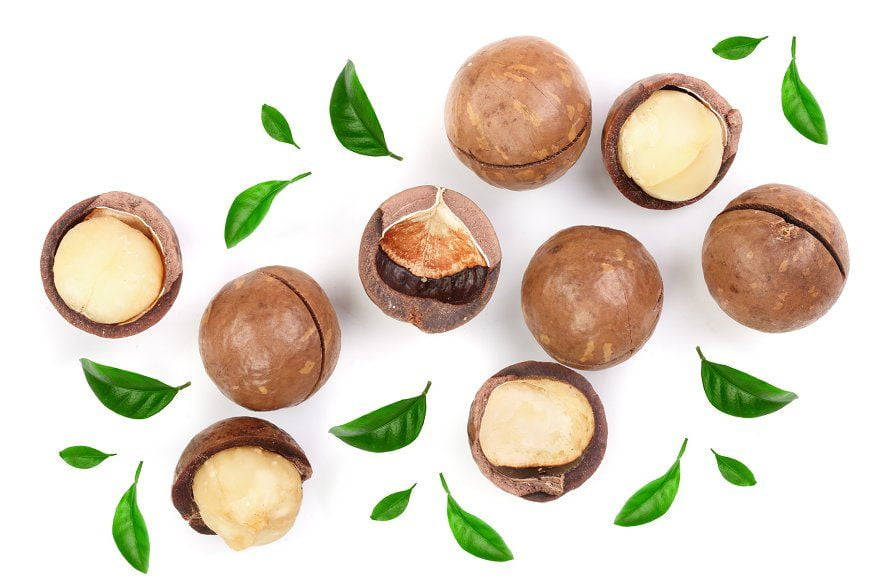 Queensland Nuts Limited premium macadamia kernels with shells and fresh leaves showcasing natural quality